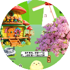 养鸡领蛋大作战