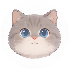 猫猫闯不停