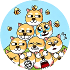 全民救狗头