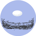 鸟蛋回家大冒险