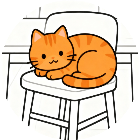全民找猫