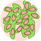 拯救动物大作战