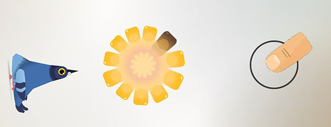 疯狂的鸽子2026版