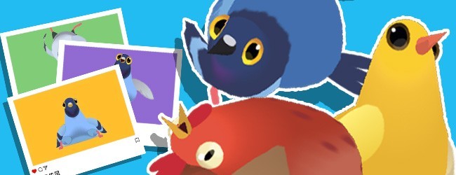 疯狂的鸽子大闯关