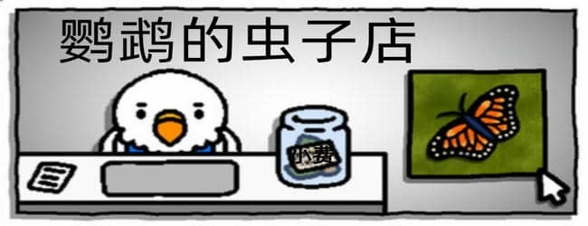 捉虫子