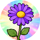 消花来解压
