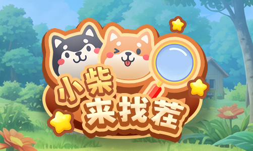 小柴来找茬