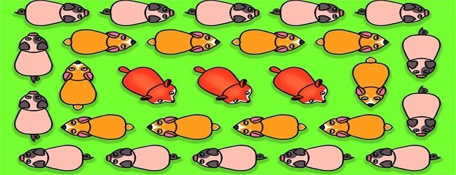 猪猪消消小游戏