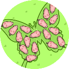 挪一头猪小游戏