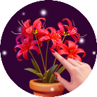 花朵消除花朵