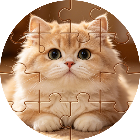 拼了个猫咪
