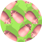 过个一百关