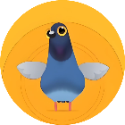 疯狂的鸽子乐园