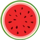 组成大西瓜满血版