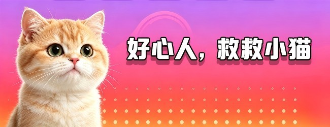 多彩连萌