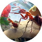 蚂蚁部落模拟器