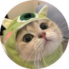 猫了个咪消消乐