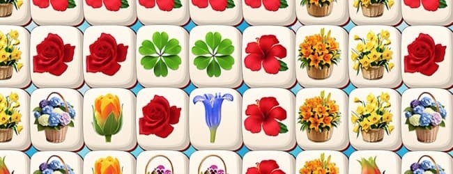 花朵消消乐花花