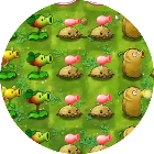 植物花园大冒险