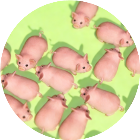 挪猪猪消除游戏