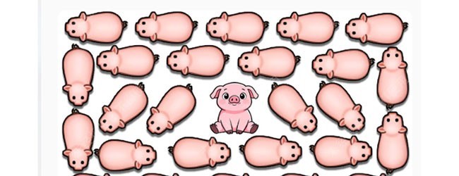 挪了个猪大消除