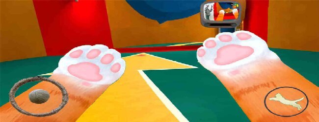 我是一只小猫咪