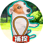 极速通关记