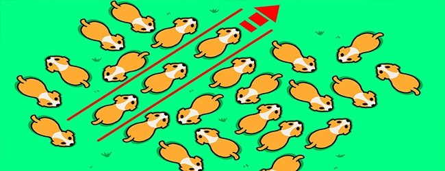 救救羊消消消乐