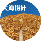 大海捞针小游戏