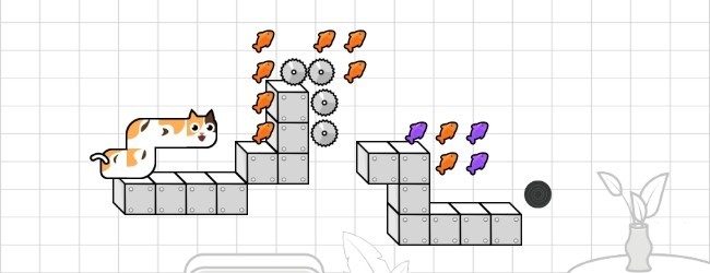 喵喵冲向小鱼干