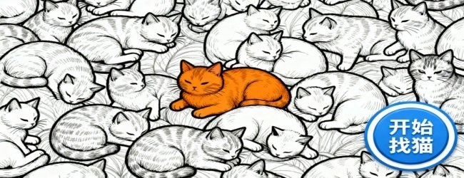 全民疯狂找猫猫