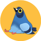 疯狂的鸽子闯关