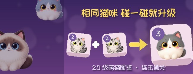 喵合连萌