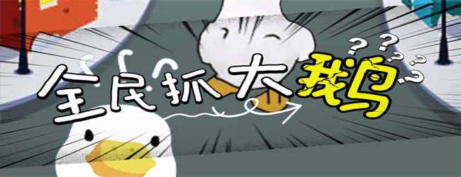 逃离家暴的大鹅