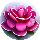 花朵经典版消消乐