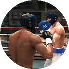 真实拳王双人格斗