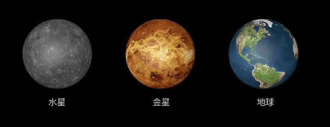 快乐小鸡小游戏大全