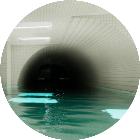 池核公园梦核