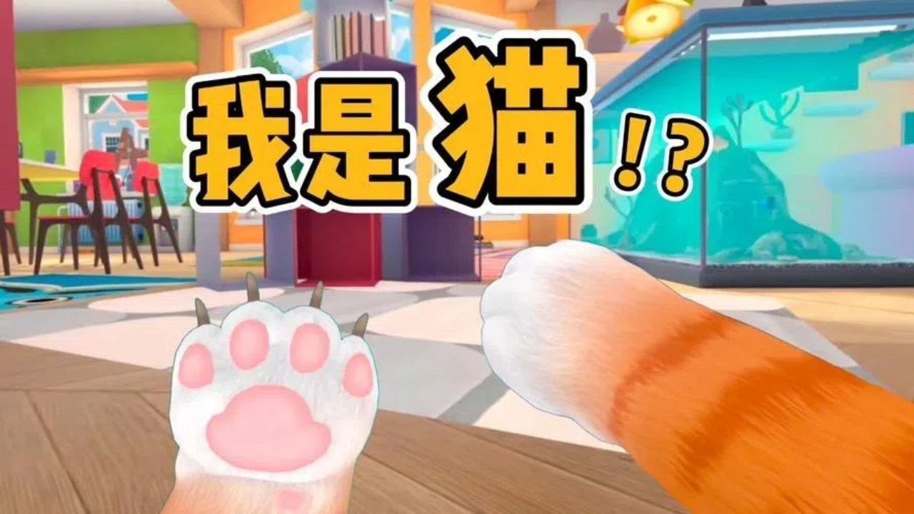 我是猫-现实世界