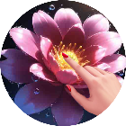 消消乐鲜花消除