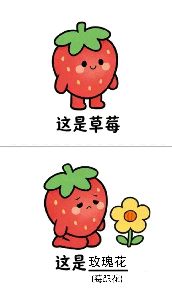 谐音梗大冒险