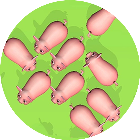 挪了头猪大冲关