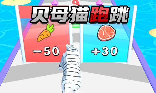 贝母猫跑跳