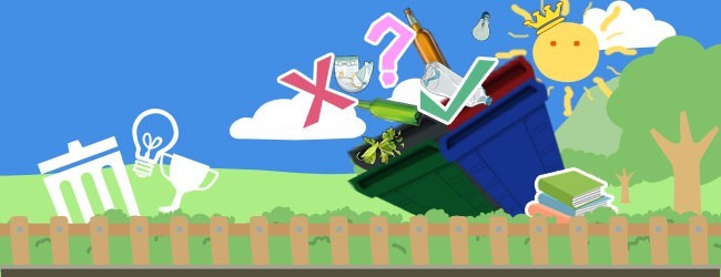 知识王者分类达人