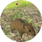 老鼠模拟生存游戏