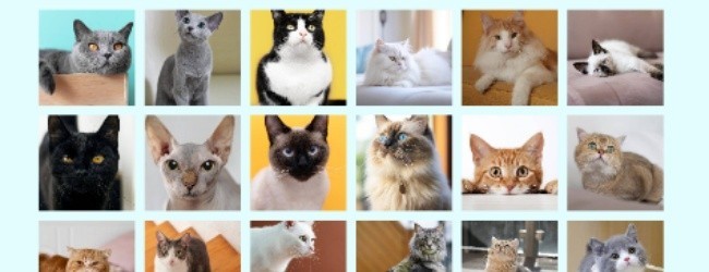 地理知识大挑战