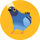 疯狂的鸽子表情