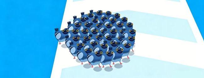 疯狂的鸽子跑酷