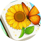 消花儿