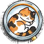 躲猫猫找猫咪